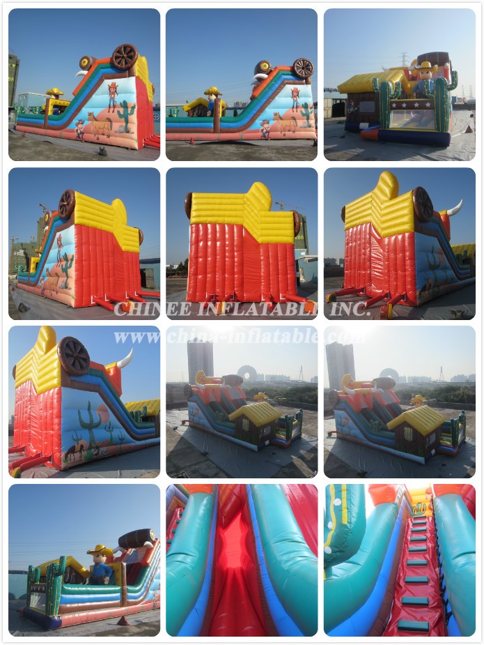 12 - Chinee Inflatable Inc.