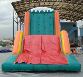 T11-674 Outdoor Giant Inflatable Sports