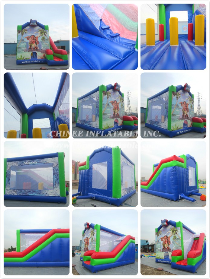 a - Chinee Inflatable Inc.